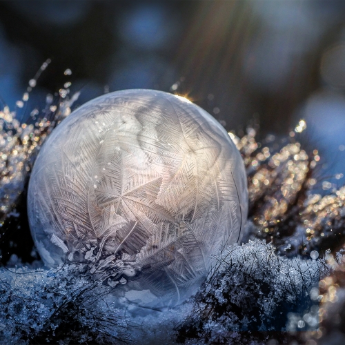 Gold Medal - Marianna Armata - Frozen Soap Bubble