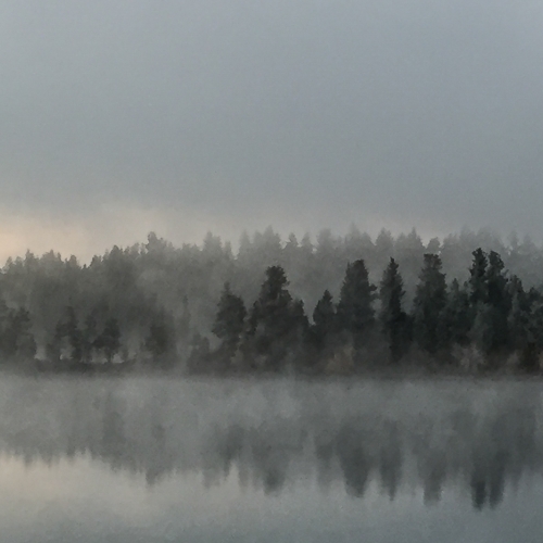 Gold CBPC Robyn Cowan - Morning Mist