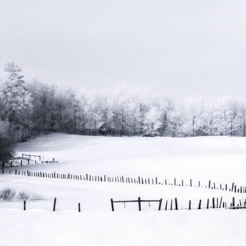 HONOUR AWARD Andre Secours Winter