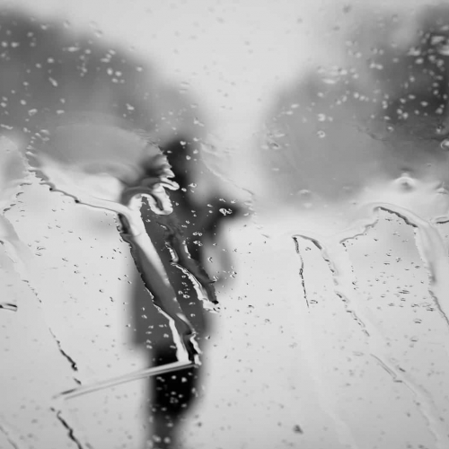 HONOUR AWARD Bernard Legault Jour De Tempête