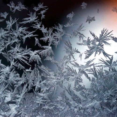 HONOUR AWARD Cynthia Magliocco Frost On My Window, Fly Away