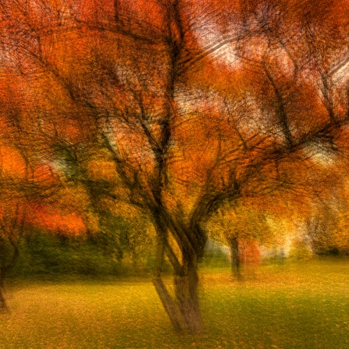 HONOUR AWARD Grand River Imaging And Photographic Society Karen Von Knobloch Fall'S Glory