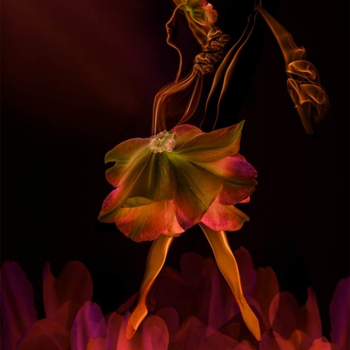 HONOUR AWARD Grand River Imaging And Photographic Society Karen Von Knobloch Smoke Dancer