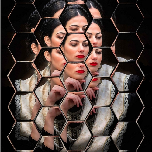 HONOUR AWARD Grand River Imaging And Photographic Society Randy Valentine Honeycomb Reflection