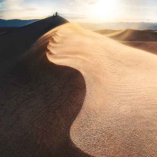 HONOUR AWARD James Xiang Photo Companion Under The Sun
