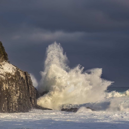 HONOUR AWARD Lesleyanne Ryan The Storms of December