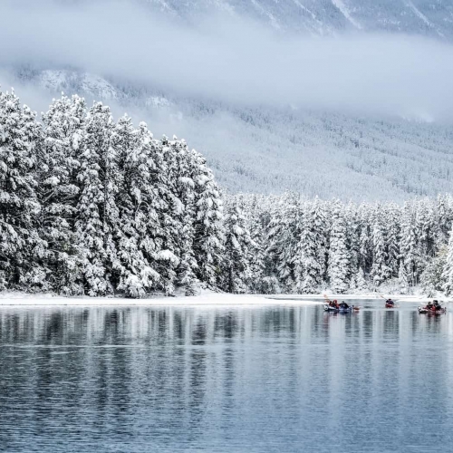HONOUR AWARD London Camera Club Andrew Campbell Only In Canada