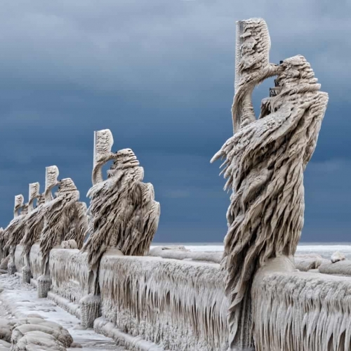 HONOUR AWARD London Camera Club Brenda Harwood Frozen Guardians Of The Realm
