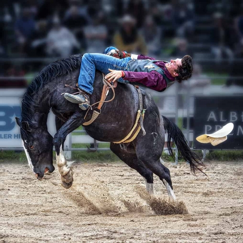 HONOUR AWARD Louie Luo Bareback Riding