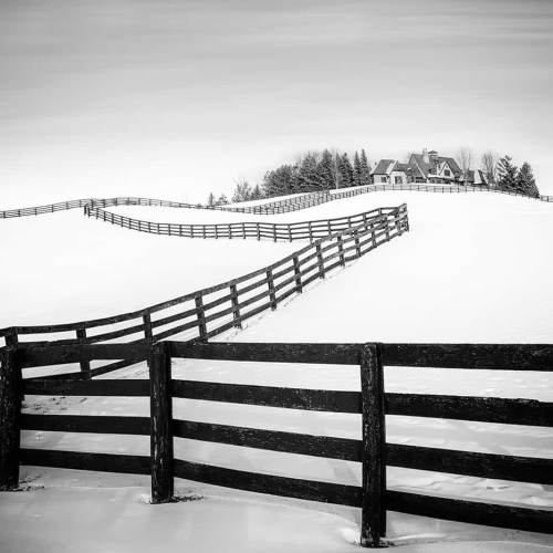 HONOUR AWARD Louie Luo Farm In Winter
