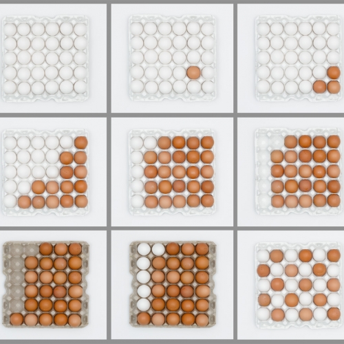 HONOUR AWARD Manfred Mueller Typology   Lines Of Eggs