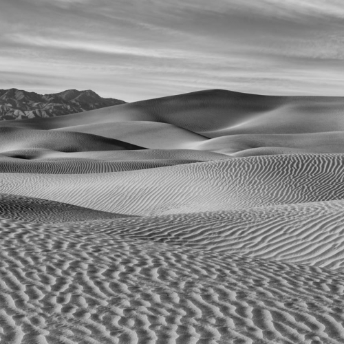 HONOUR AWARD Neil Le Nobel Sundown On The Dunes