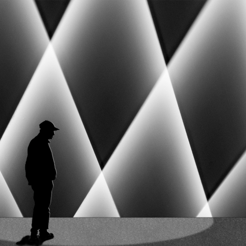 HONOUR AWARD North Shore Photographic Society Randy Singer Soliloquy