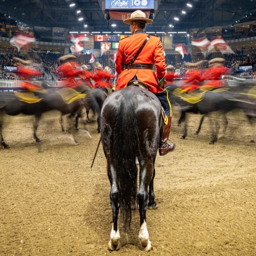 HONOUR AWARD Richmond Hill Camera Club Lil Shneidman Musical Ride