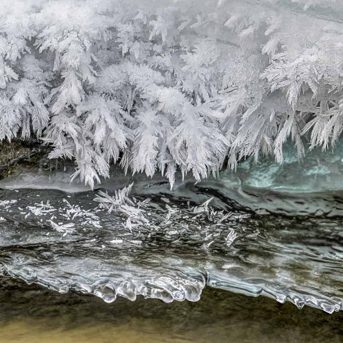 HONOUR AWARD Steve Wilson Riverbank Frost