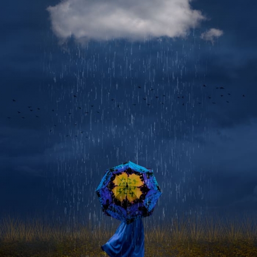 HONOUR AWARD Sylvie Gagne In The Eye Of The Storm