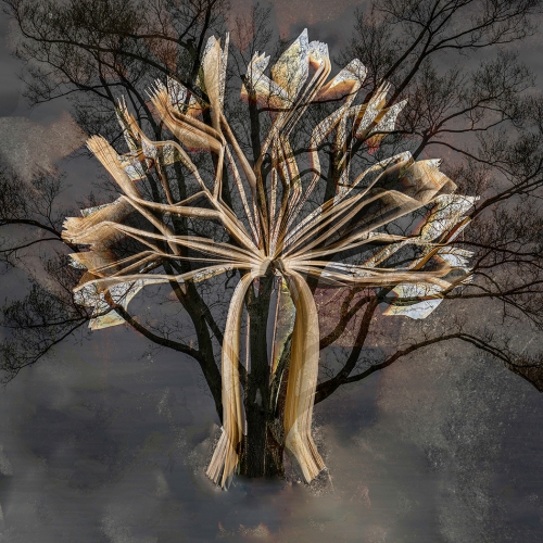Honor - Rhonda Starr - Tree Of Knowledge