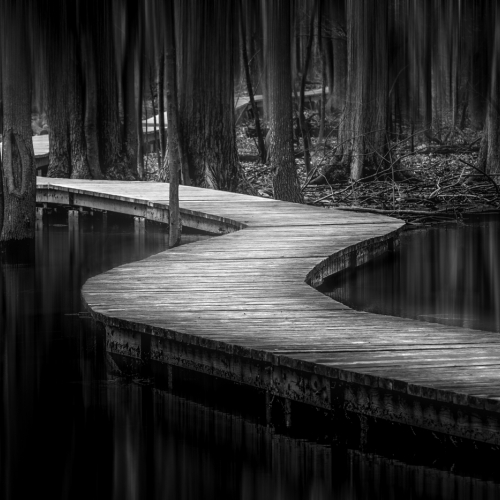 Honour - Yves Keroack "The Shining Path"