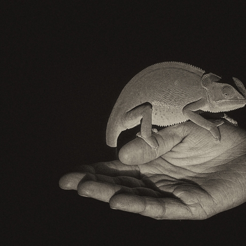 Honour - Kathryn McGarvey "Mutual Trust"