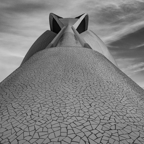 Honour - Kathryn McGarvey "The Alien"