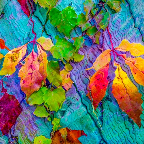 Honour - Adrienne Zoe - Rainbow Fall Garden