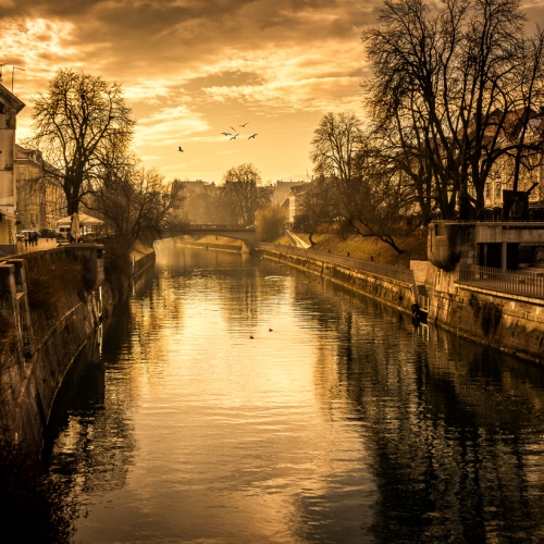 Honour - Alex Buchanan - The Heart And Soul Of Ljubljana Slovenia
