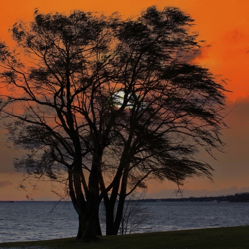 Honour Award - Claude Belanger - End Of Day By Lake Saint Louis