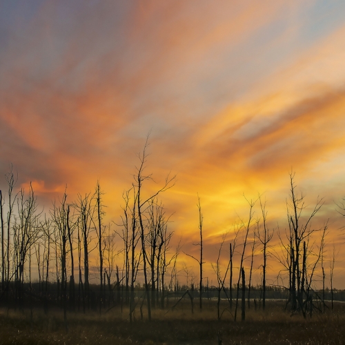 Honour Award - Claude Belanger - Sunset At The Swamp