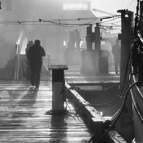 Honour Award Colleen Walden Foggy Morning On The Dock
