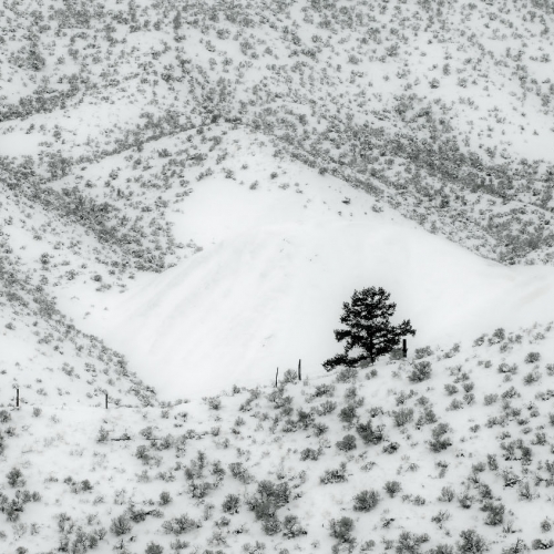 Honour Award Daniel Rondeau Fence Line On The Sage Range
