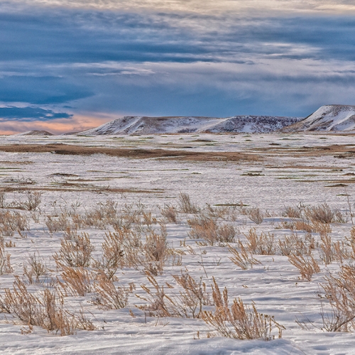 Honour Award Diane McKinnon Prairie Winter