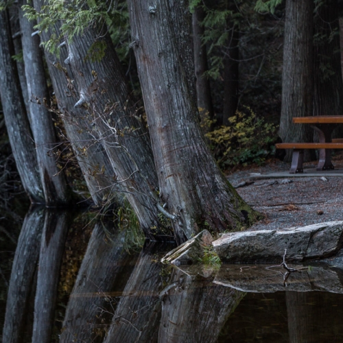 Honour Award - Gail Stephan - Retired Campground