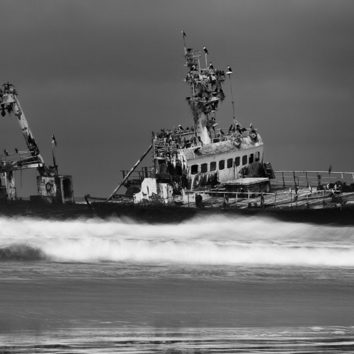 Honour Award Geri Porteous Ship