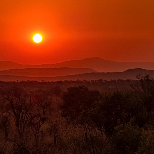 Honour Award - Guy Brun - Most Peaceful Time On The African Savanna