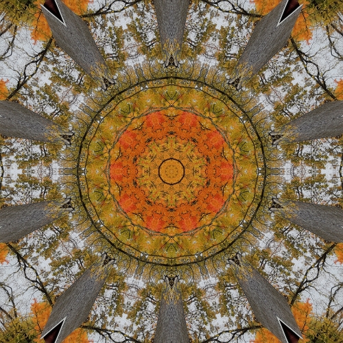 Honour Award - Heykoop Kathy - Morningstar Mill Abstract