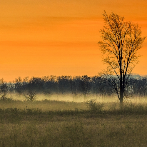 Honour Award Ilana Block Amherst Island At Dawn