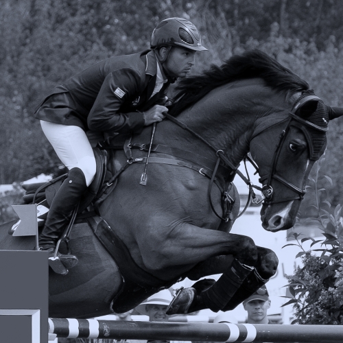 Honour Award John Kalley Focused Equine