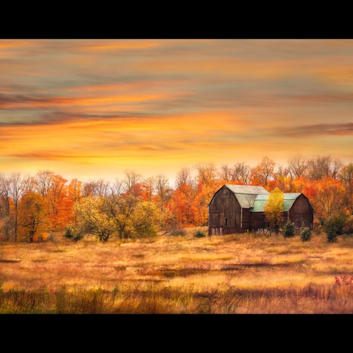 Honour Award Karen Cunningham Autumn Barn