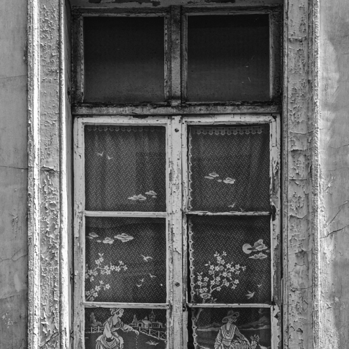 Honour Award Mary Chambers Lace Curtain