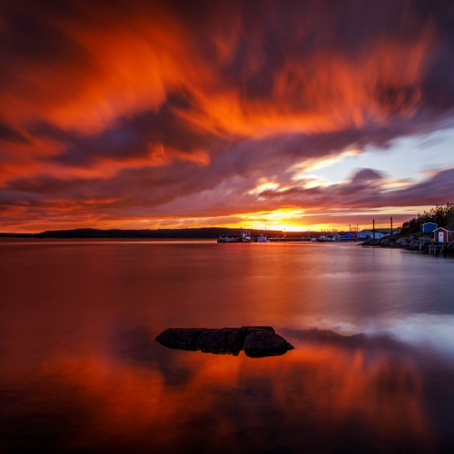 Honour Award - Michael Winsor - Nature S Colour Palette