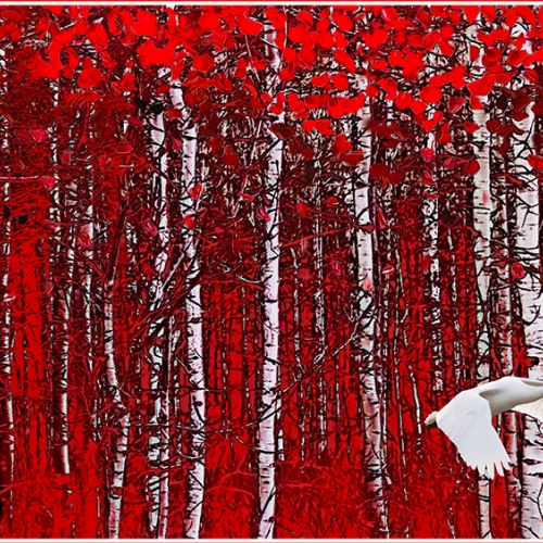 Honour Award Rozanne Pate Red Birch