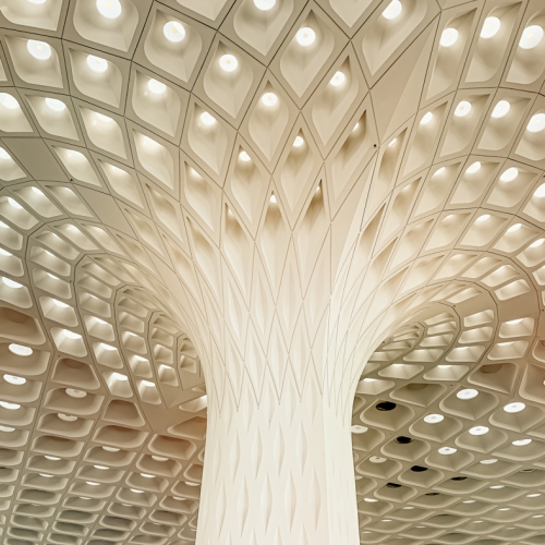 Honour Award Sylvia Rourke Ceiling At Delhi Airport