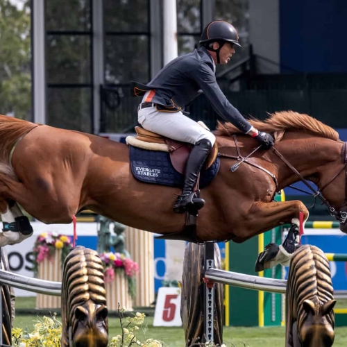 Honour Award Tracey Adams SPO In Unison Show Jumping