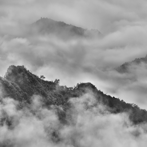 Honour Award Yun Wang Tea Mountain