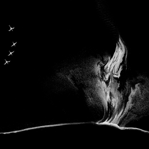 Honour Yun Wang Flamingos Fly Towards The Fire