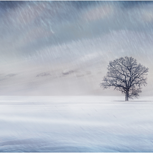 Honour - Francine Raymond - Frozen  Solid