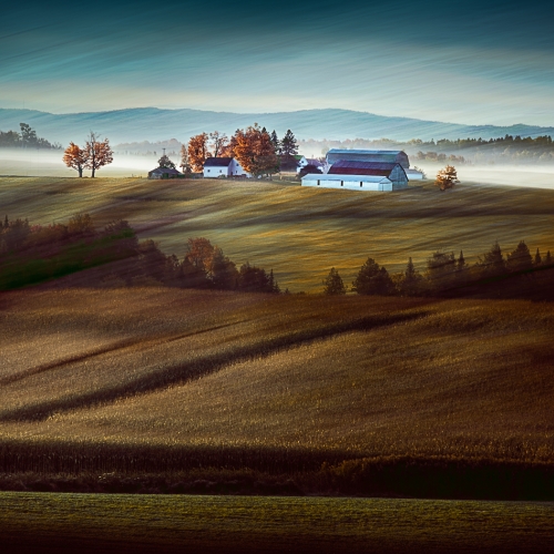 Honour - Francine Raymond - In The Morning Mist