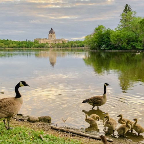 Honourable Mention Award Regina Photo Club Brenda Herback Spring In The Park
