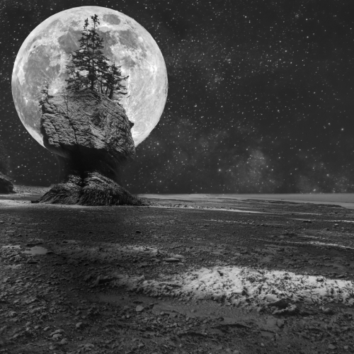 Tied 3 Merit Award - Jason Bowie - Pink Moon