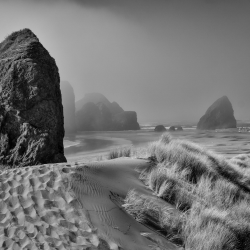 Merit #1 - Ken Renton's image "Pistol River Beach"